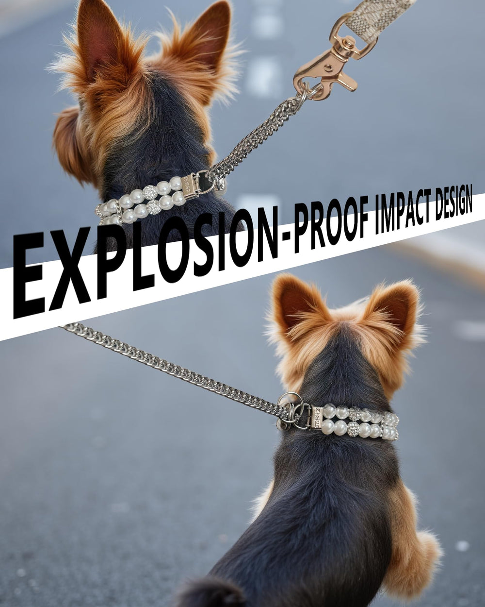 KUDES no-pull training collar in action showing gentle correction