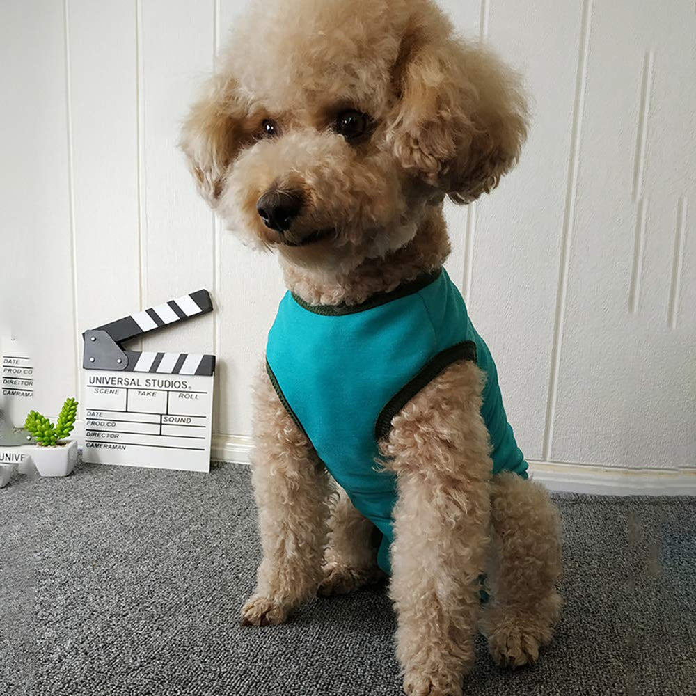 Kukaster Pet recovery suit worn by a puppy during indoor rest and healing