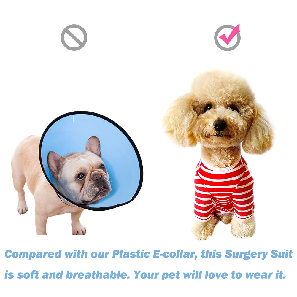 Kukaster Pet recovery suit in car demonstrates indoor-outdoor wear and comfort.