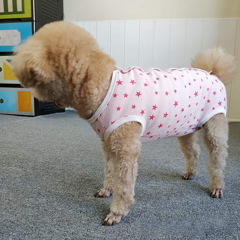 Dog wearing Kukaster Pet recovery suit during movement for protective coverage.