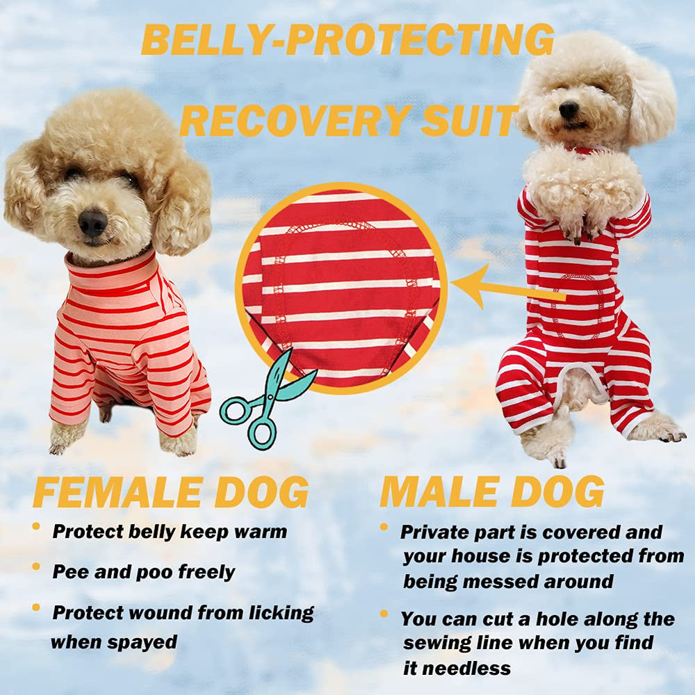 Kukaster Pet recovery suit back with buttons enables easy dressing and secure fit