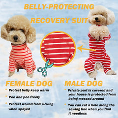Kukaster Pet recovery suit back with buttons enables easy dressing and secure fit