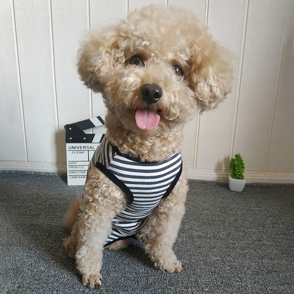 Kukaster Pet recovery suit is machine washable and easy to care for.
