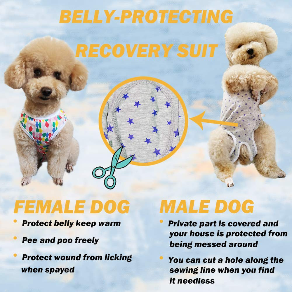 Kukaster Pet E-collar alternative keeps dogs comfortable without collars