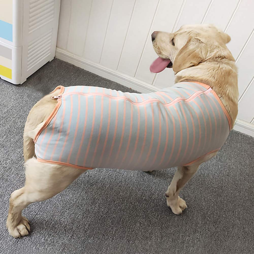 Kukaster Pet grey orange 3xl on dog during walks reduces exposure to dirt.