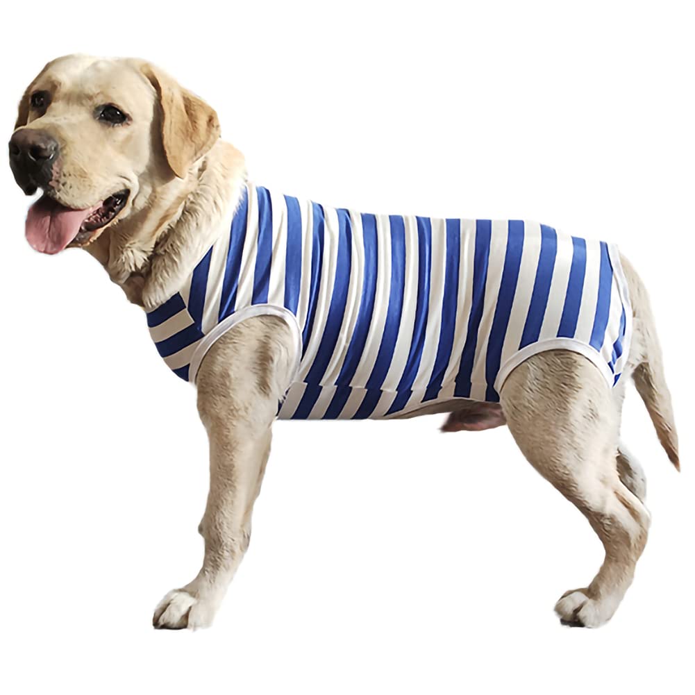 Kukaster Pet recovery suit used indoors and outdoors for versatile protection.
