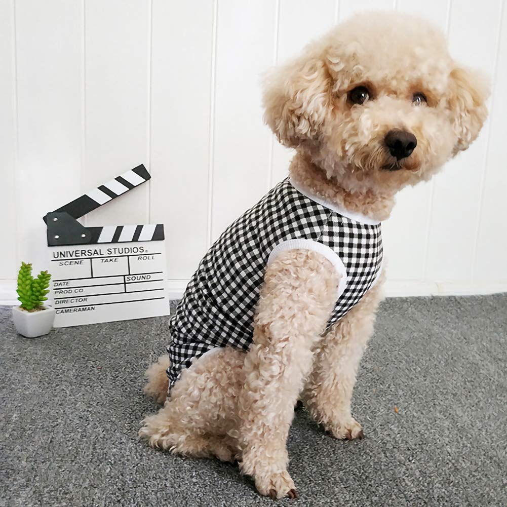 Kukaster Pet recovery suit designed for indoor and outdoor wear.
