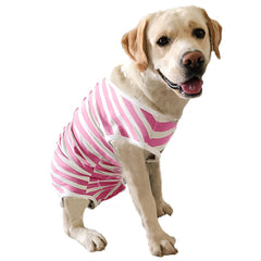 Kukaster Pet recovery suit shown indoors aiding tidy fur and calm rest