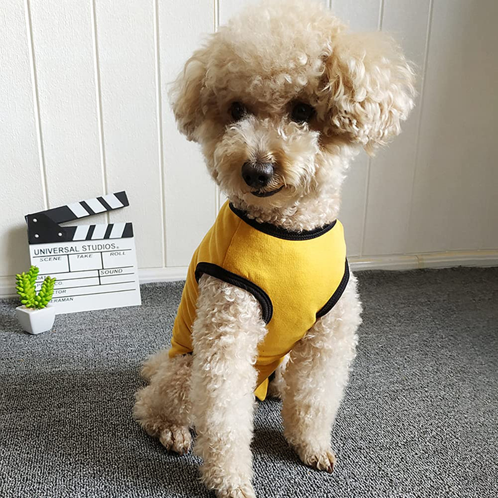 Kukaster Pet recovery suit indoor-wear design helps reduce shedding and keeps areas clean