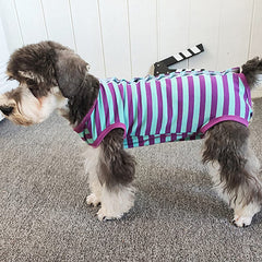 Kukaster Pet Recovery Suit male-dog pee-cutout detail enables quick peeing