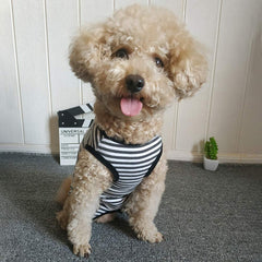 Kukaster Pet recovery suit pee-opening design helps male dogs pee without removing.