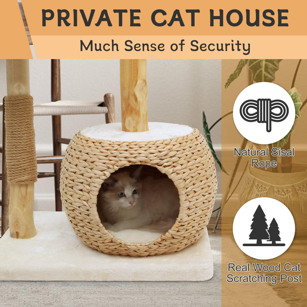 KULAMOON cat tree multi-cat play area supports social cats.