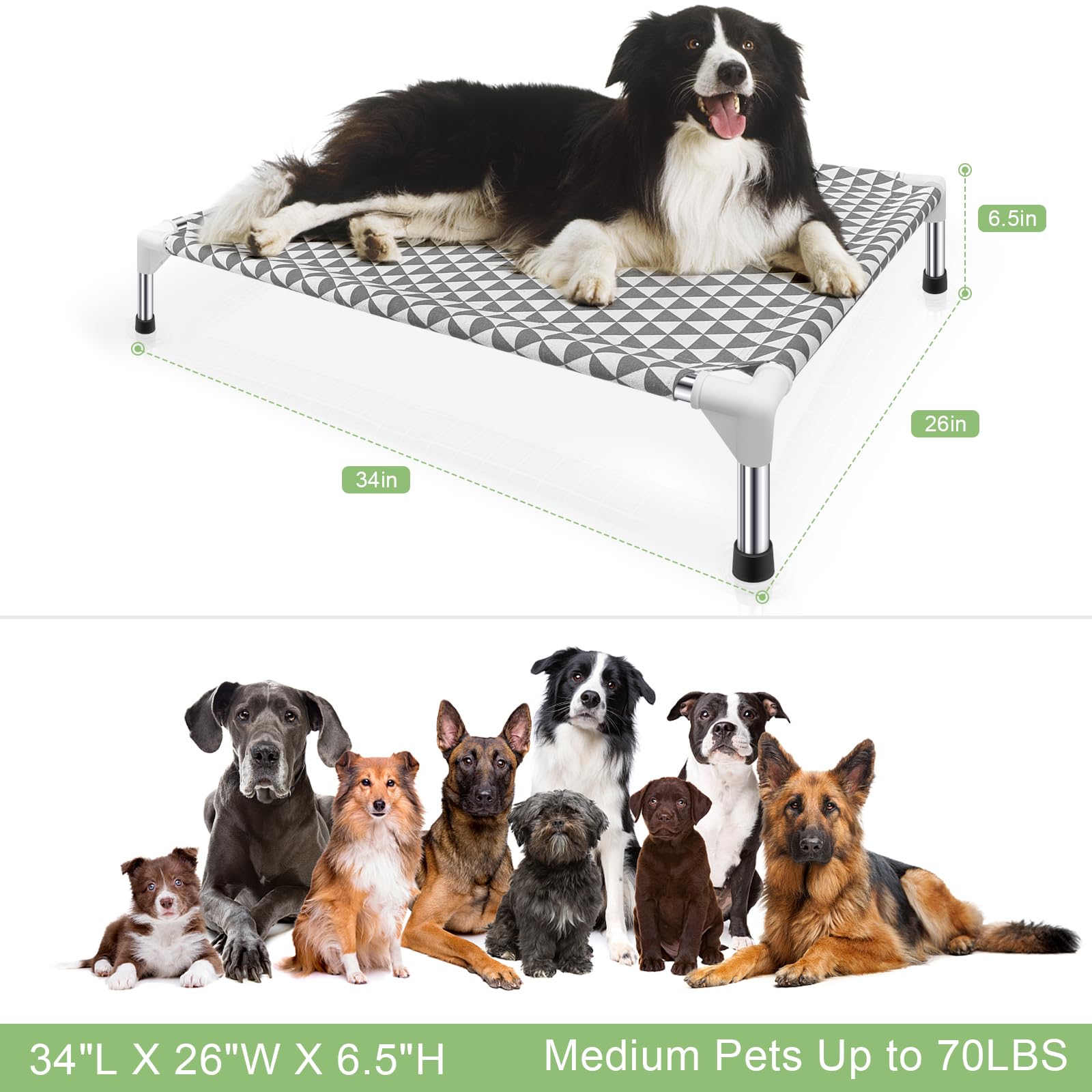 Kuntrust elevated outdoor dog bed assembly view shows tool-free setup for quick use