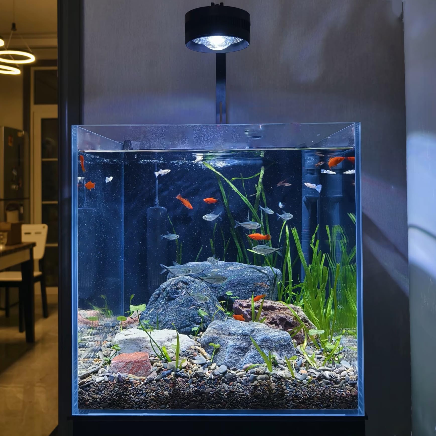 KUNVAMUL no-assembly-required tank for quick setup and minimal fuss.