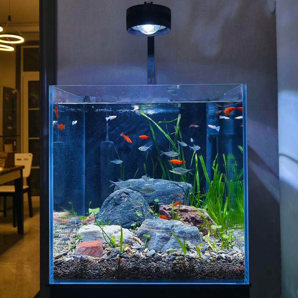 KUNVAMUL no-assembly-required tank for quick setup and minimal fuss.