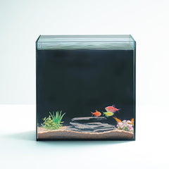 KUNVAMUL high-clarity tank front view shows vibrant underwater viewing for desktop setups.
