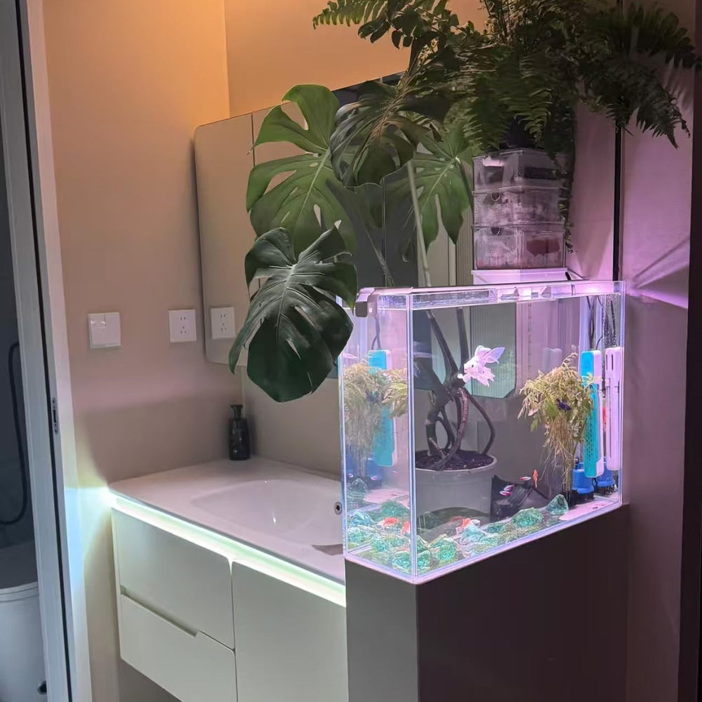 KUNVAMUL simulated plants create an instant, low-maintenance underwater scene.
