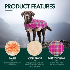 Kuoser adjustable dog coat with neck and belly straps for secure fit.
