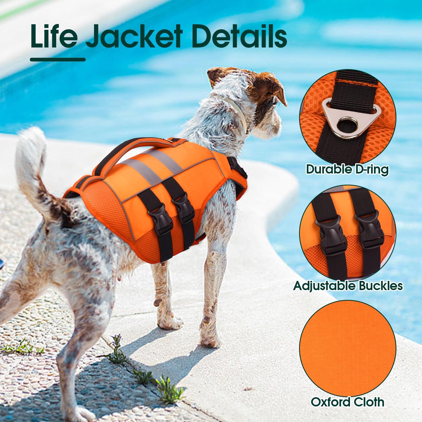 Kuoser adjustable-straps-buckle ensures secure, customizable fitting for dogs.