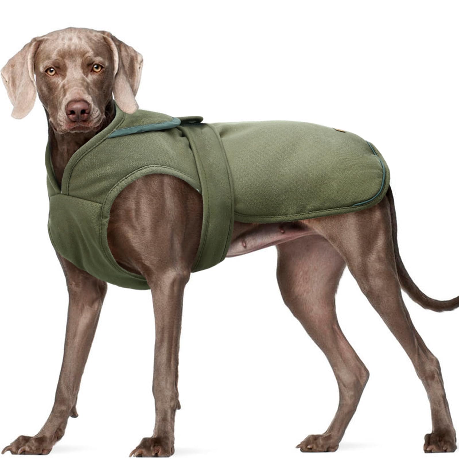 Kuoser army green dog winter coat front view shows warm fleece for cold walks.