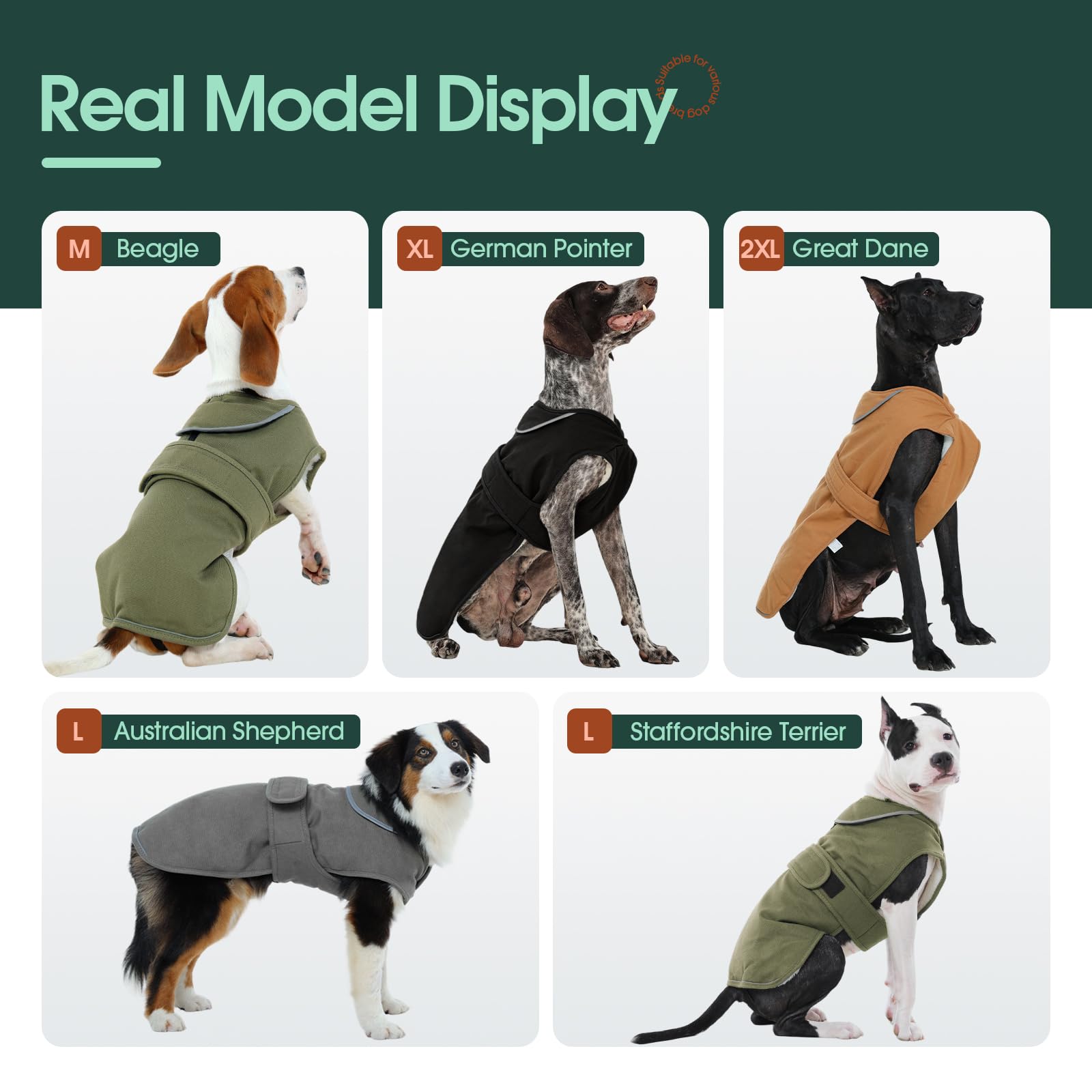 Kuoser Canvas Dog Coat with water-resistant fabric protects during misty outings.