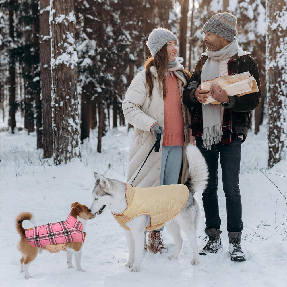 Kuoser dog coat 13-colors-pattern image highlights vintage plaid style for festive cold-weather wear.