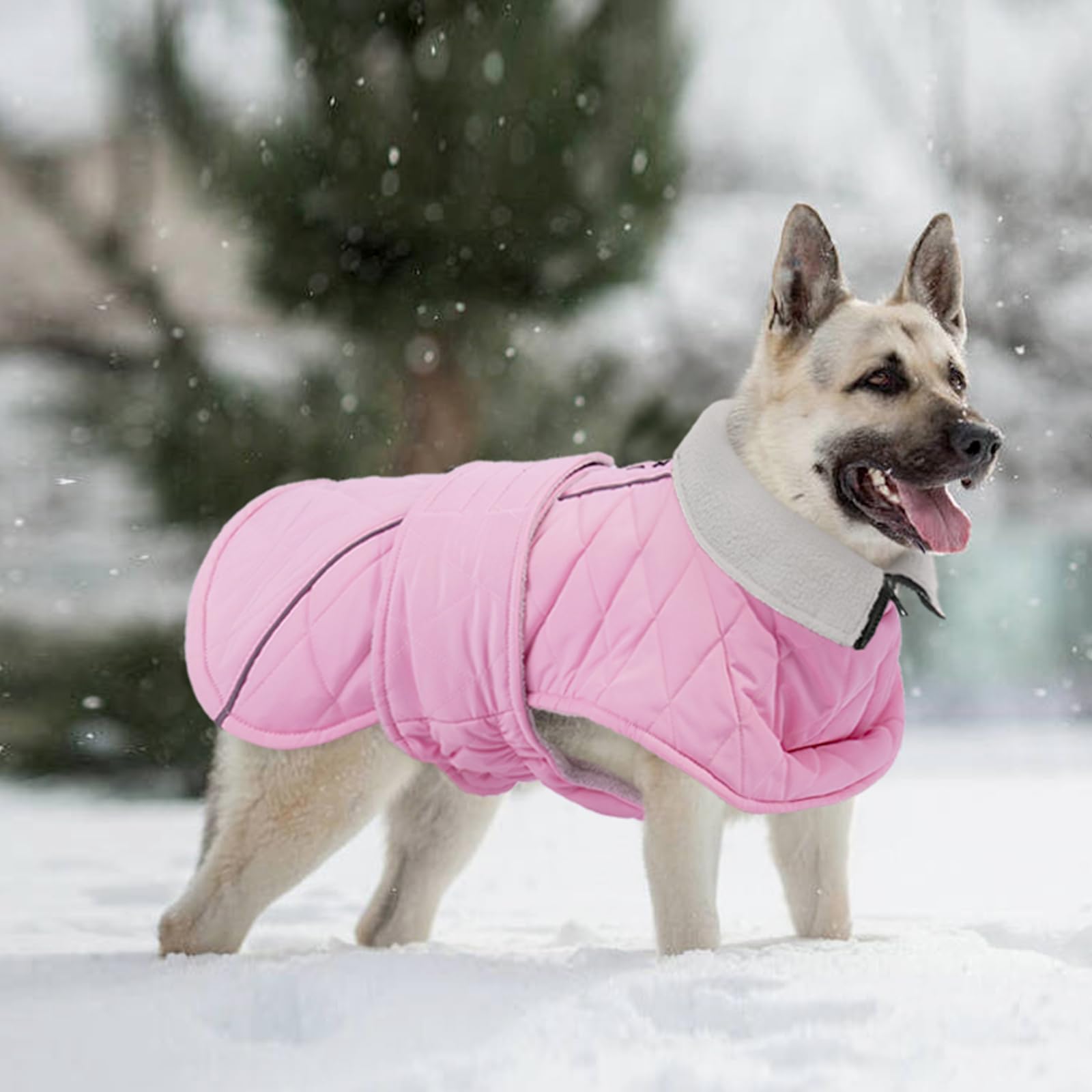 Kuoser dog coat suitable for Beagle to Golden Retriever size range.