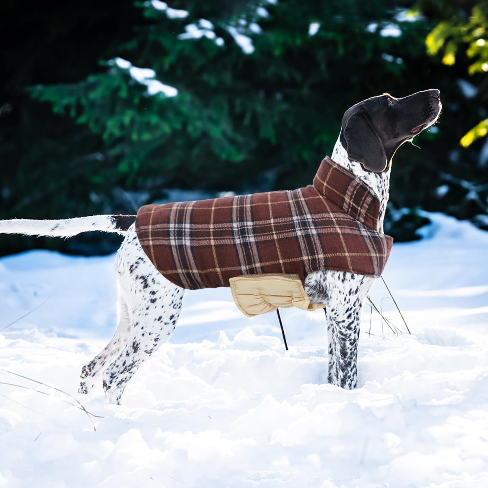 Kuoser dog coat British plaid pattern adds classic style in cold weather.