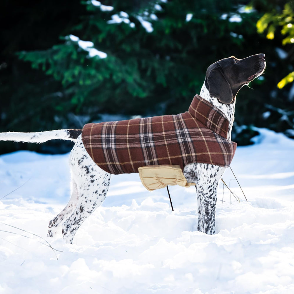 Kuoser dog coat British plaid pattern adds classic style in cold weather.