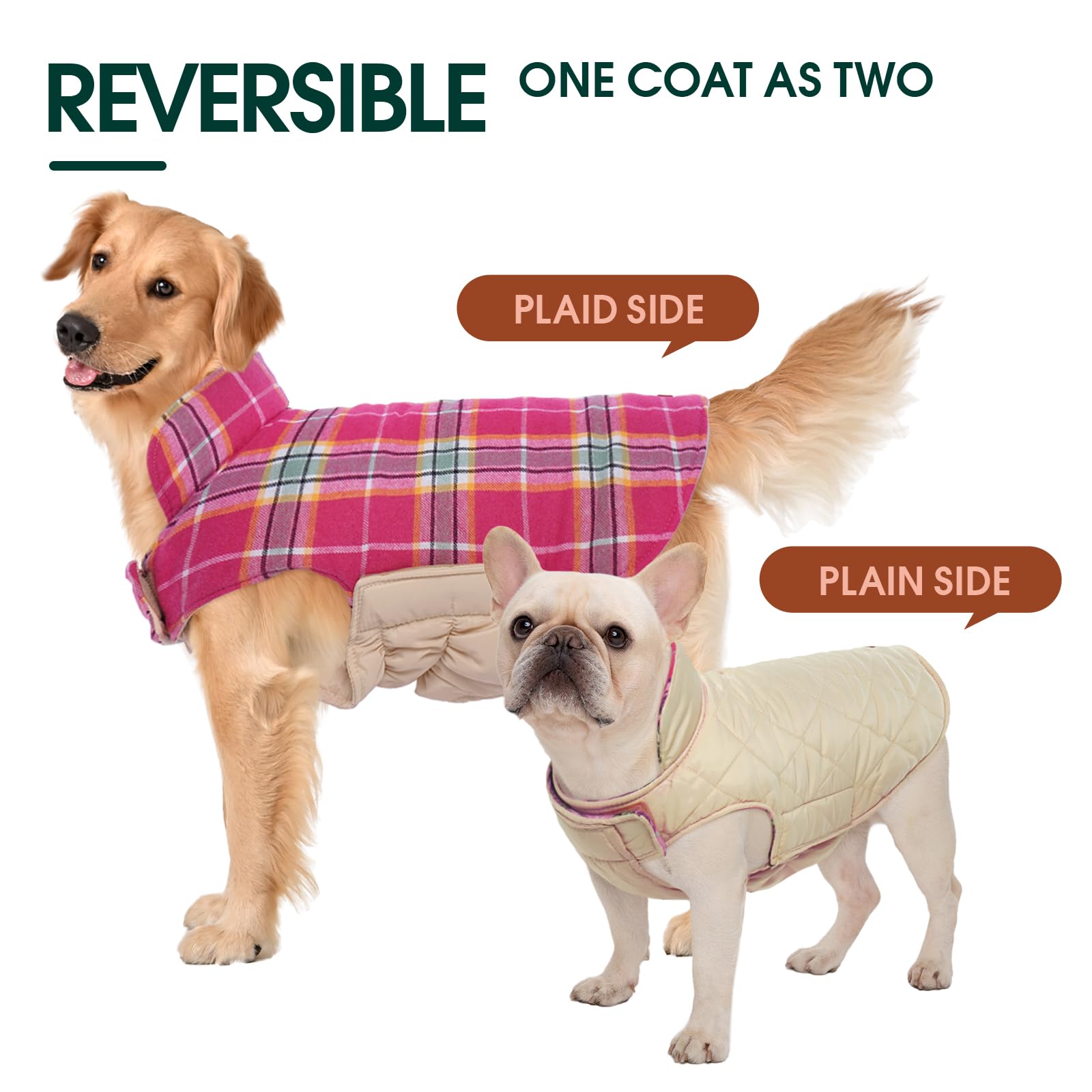 Kuoser dog coat elastic chest design for a comfortable secure fit.