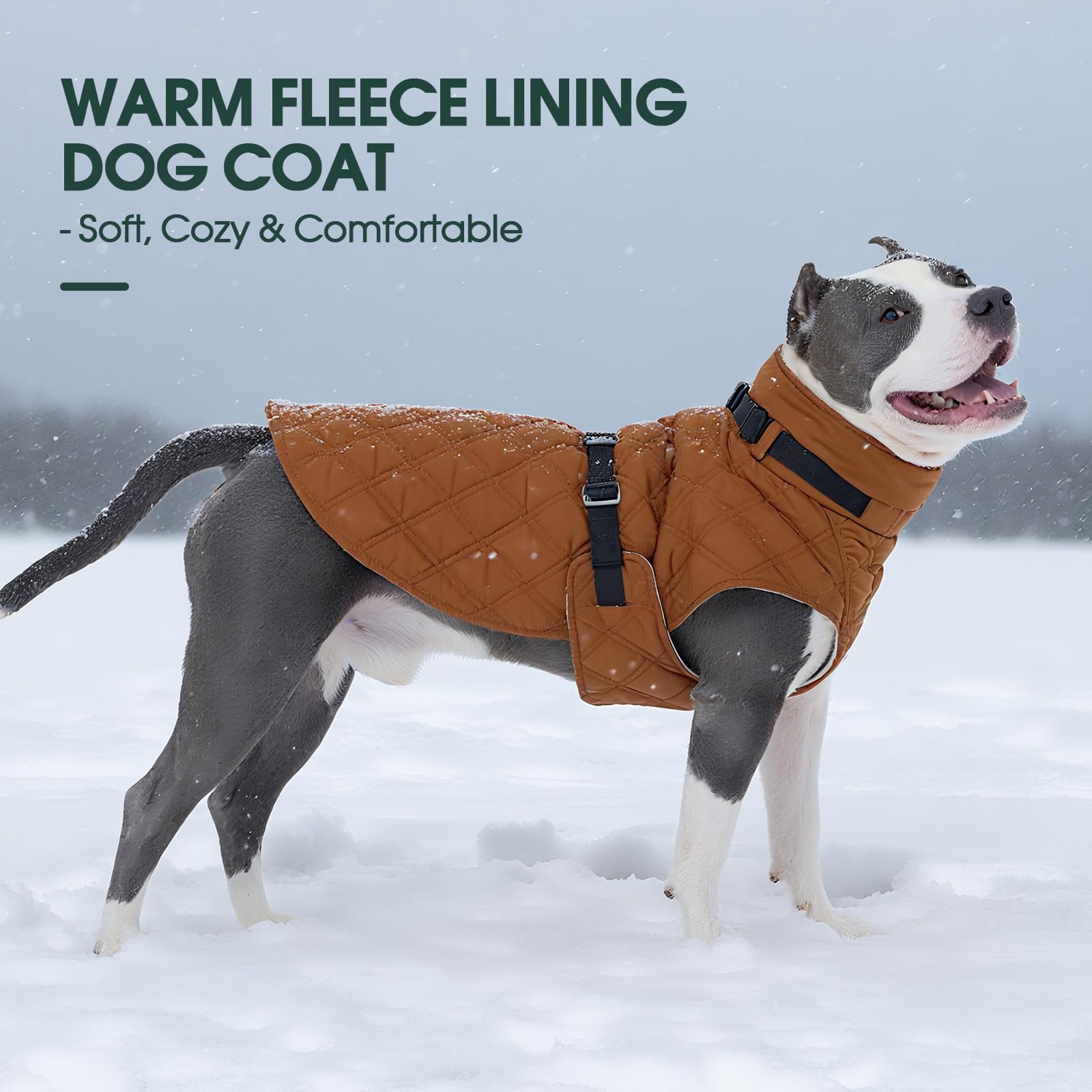 Kuoser quick-release buckle facilitates easy on/off during outdoor outings