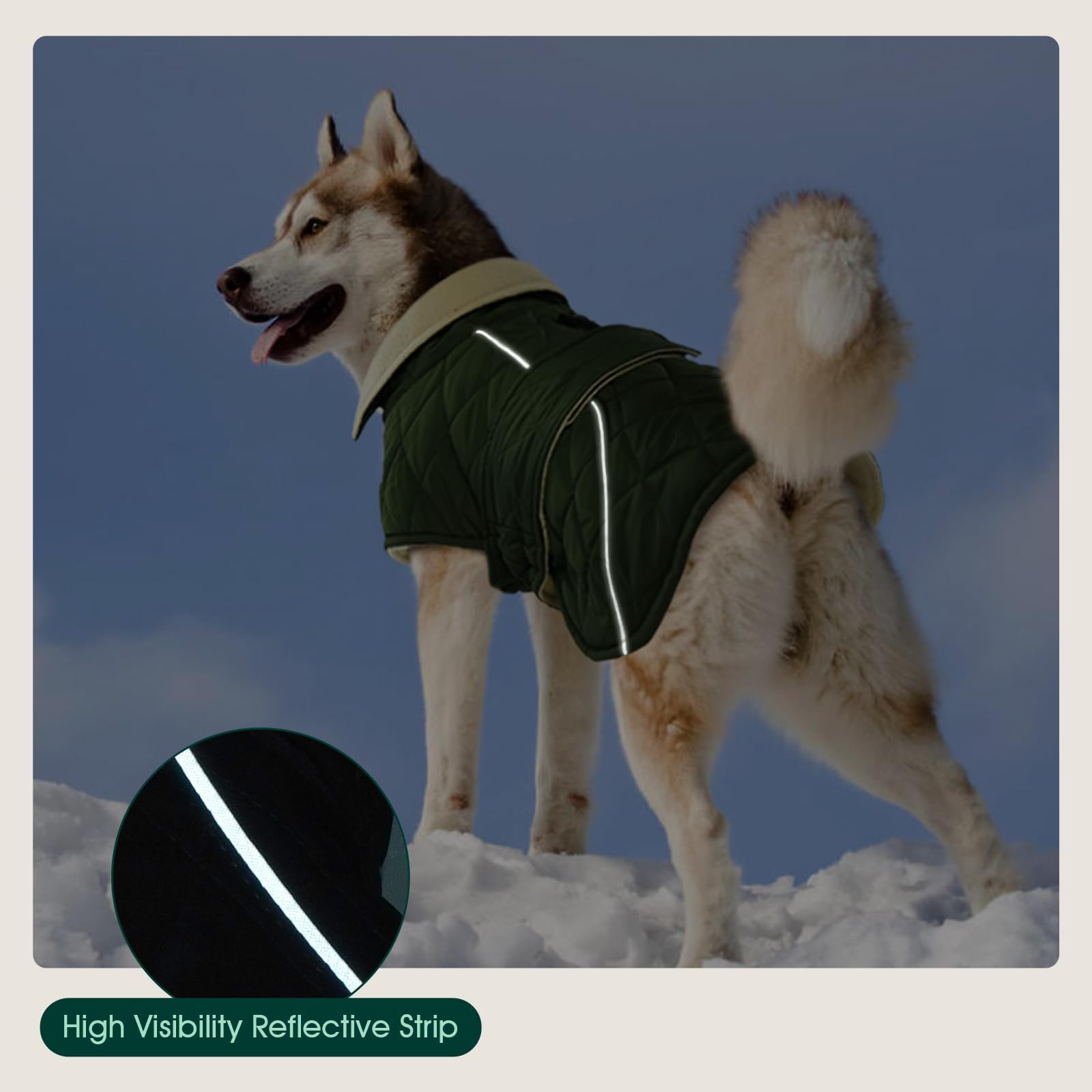 Kuoser dog coat green color provides stylish, versatile winter protection