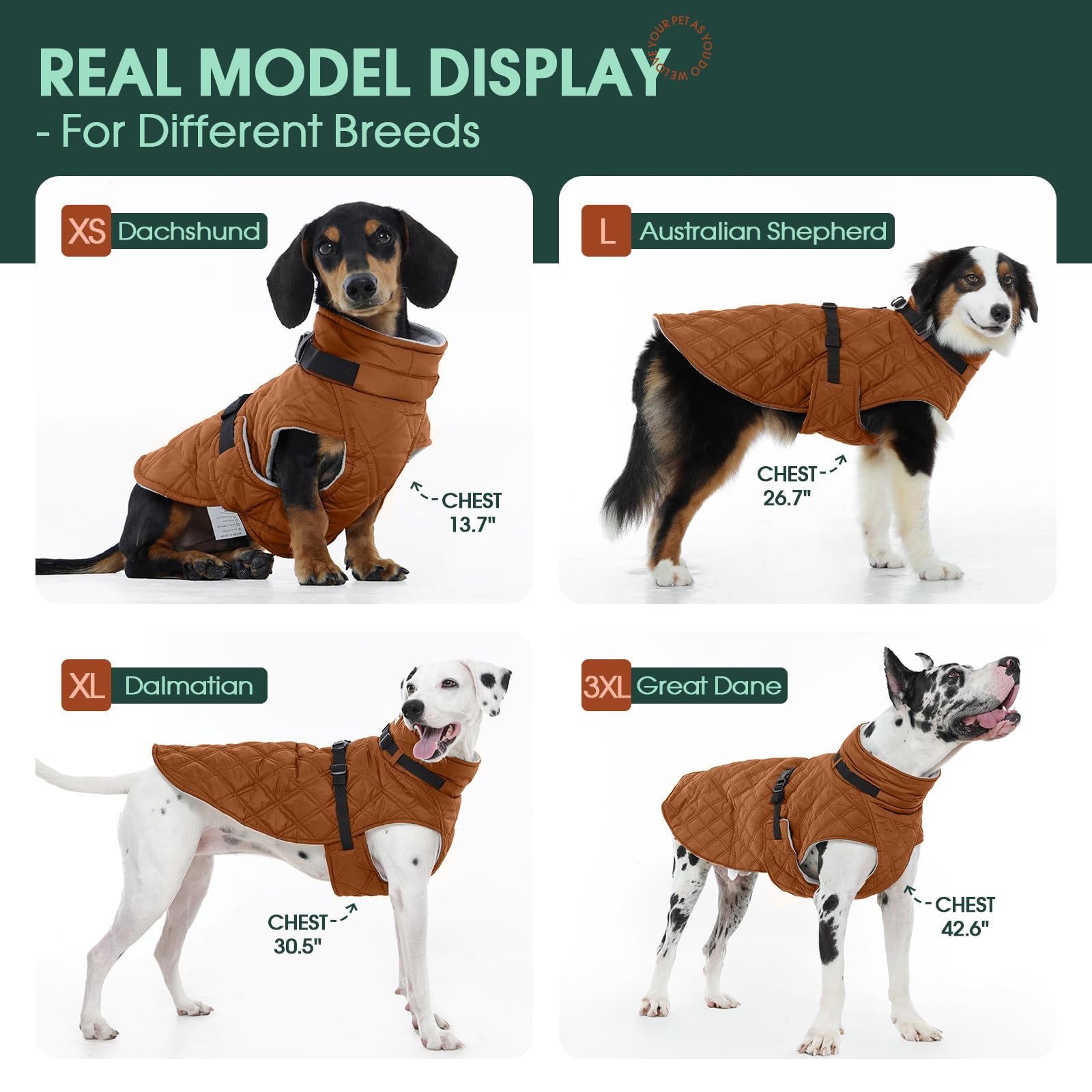 Kuoser dog coat harness built-in d-ring integrated for safer, simpler walks