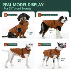 Kuoser dog coat harness built-in d-ring integrated for safer, simpler walks