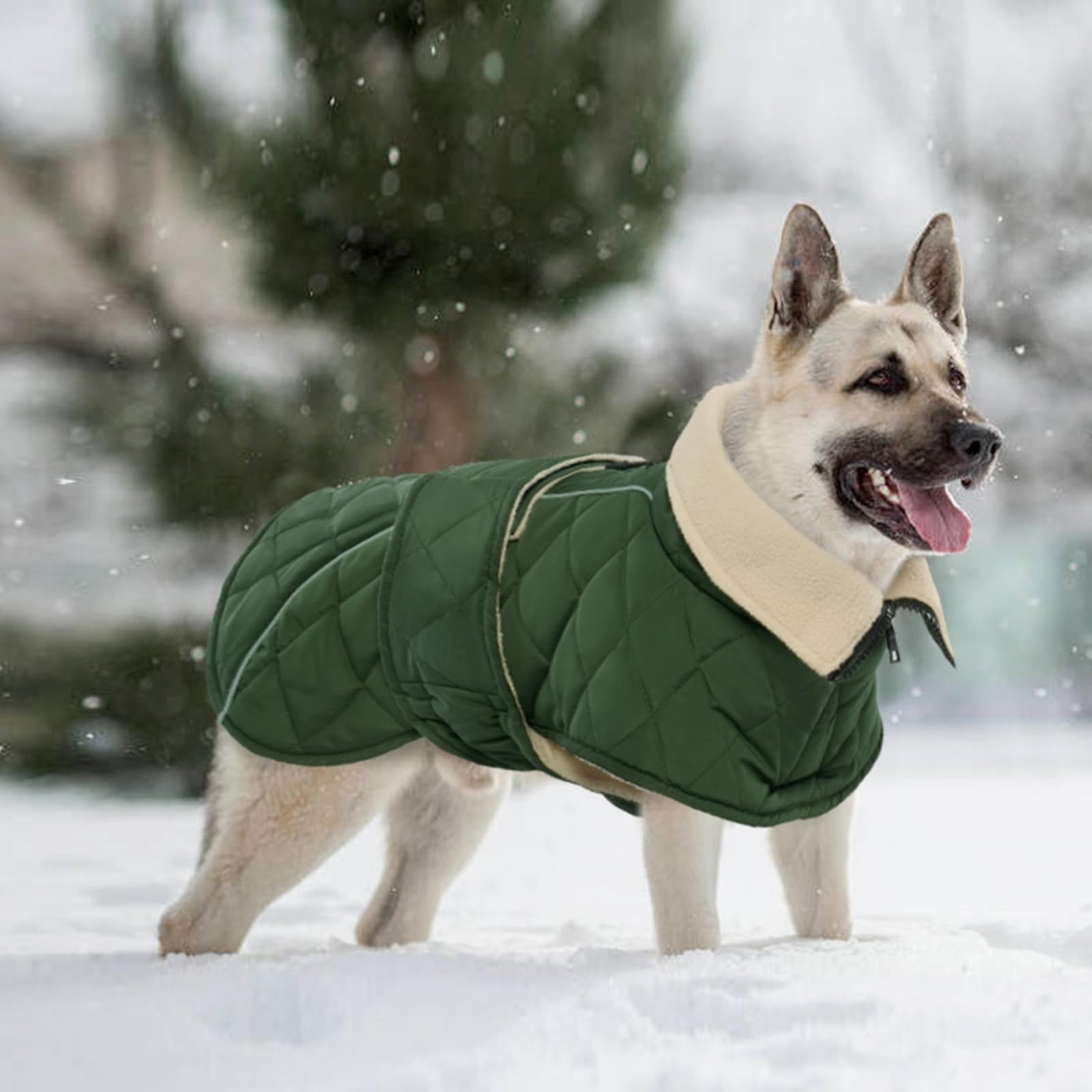 Kuoser dog coat inside fluffy lining feels soft and cozy on chilly days