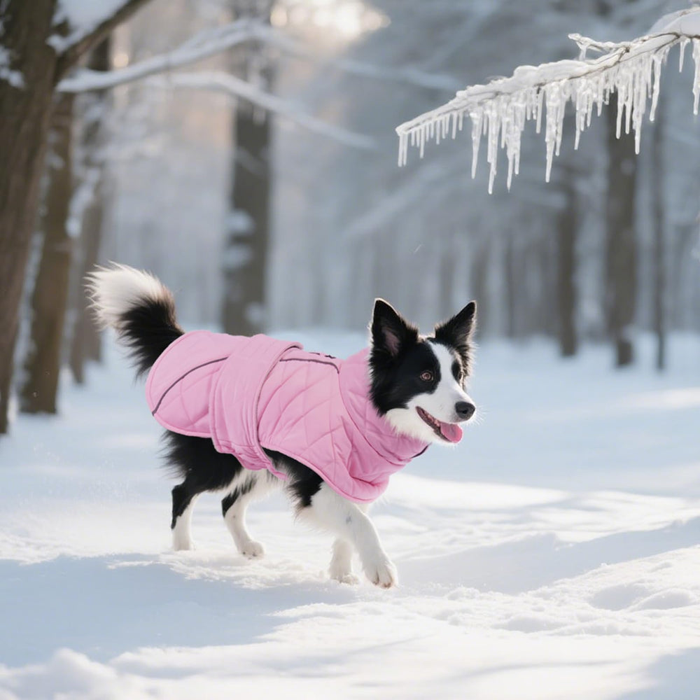 Kuoser coat is machine washable for easy care.