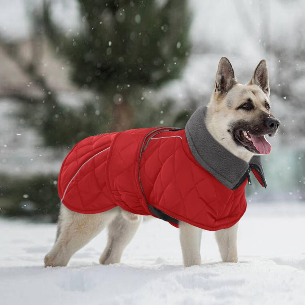 Kuoser machine-washable dog coat simplifies cleanup after muddy adventures.
