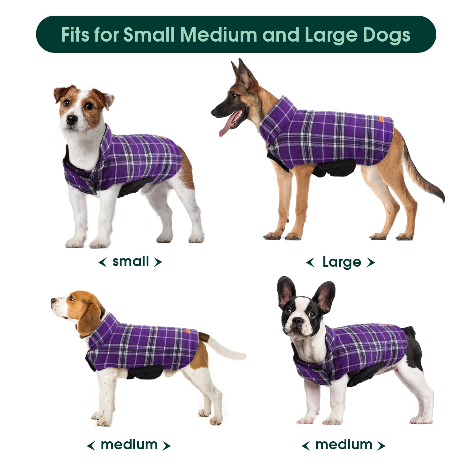 Kuoser dog coat plaid pattern closeup emphasizes classic style for cold-day outings