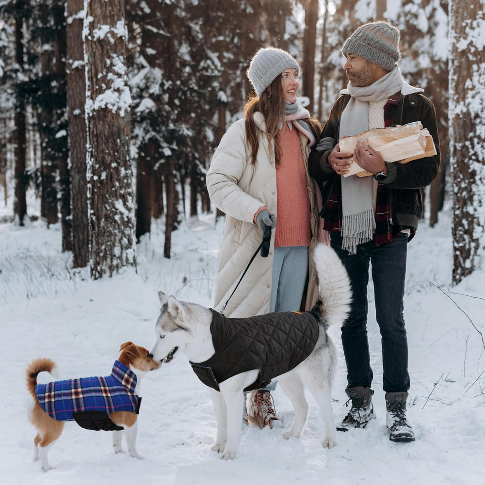 Kuoser size guide helps find the best fit for your dog