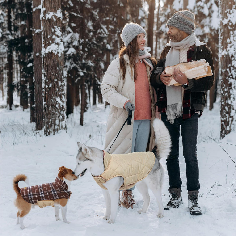 Kuoser dog coat size range illustration demonstrates fit from small to large breeds.