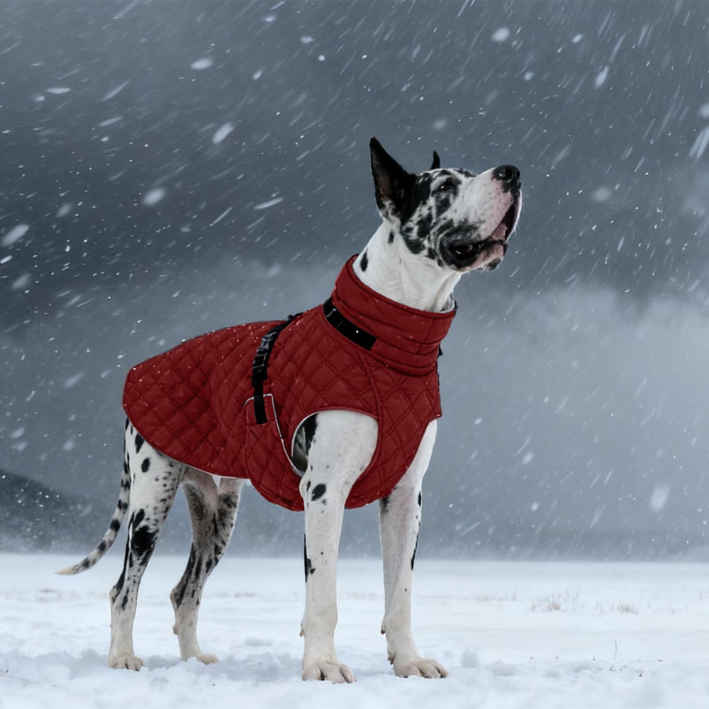 Kuoser dog coat size range XS-3XL covers many breeds and sizes.