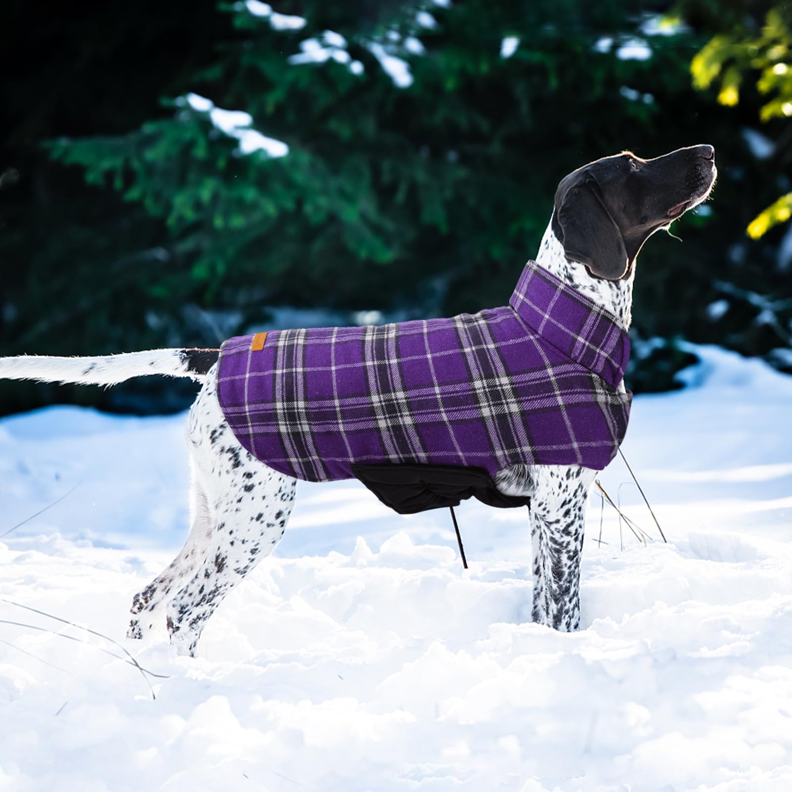 Kuoser dog coat warm fleece lining promises cozy comfort during chilly adventures