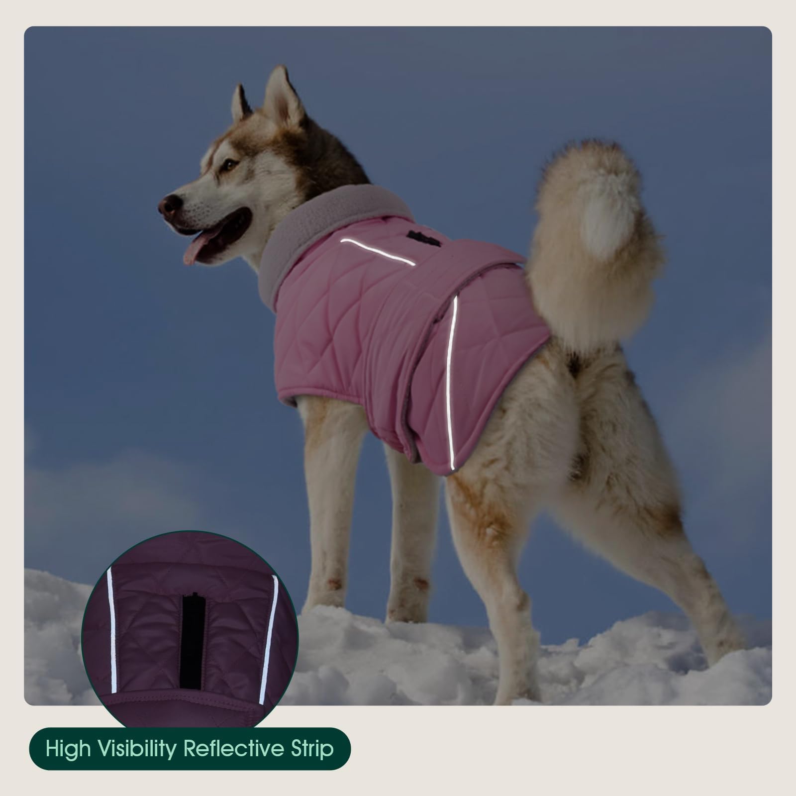 Kuoser water-resistant exterior keeps your dog dry on wet days.