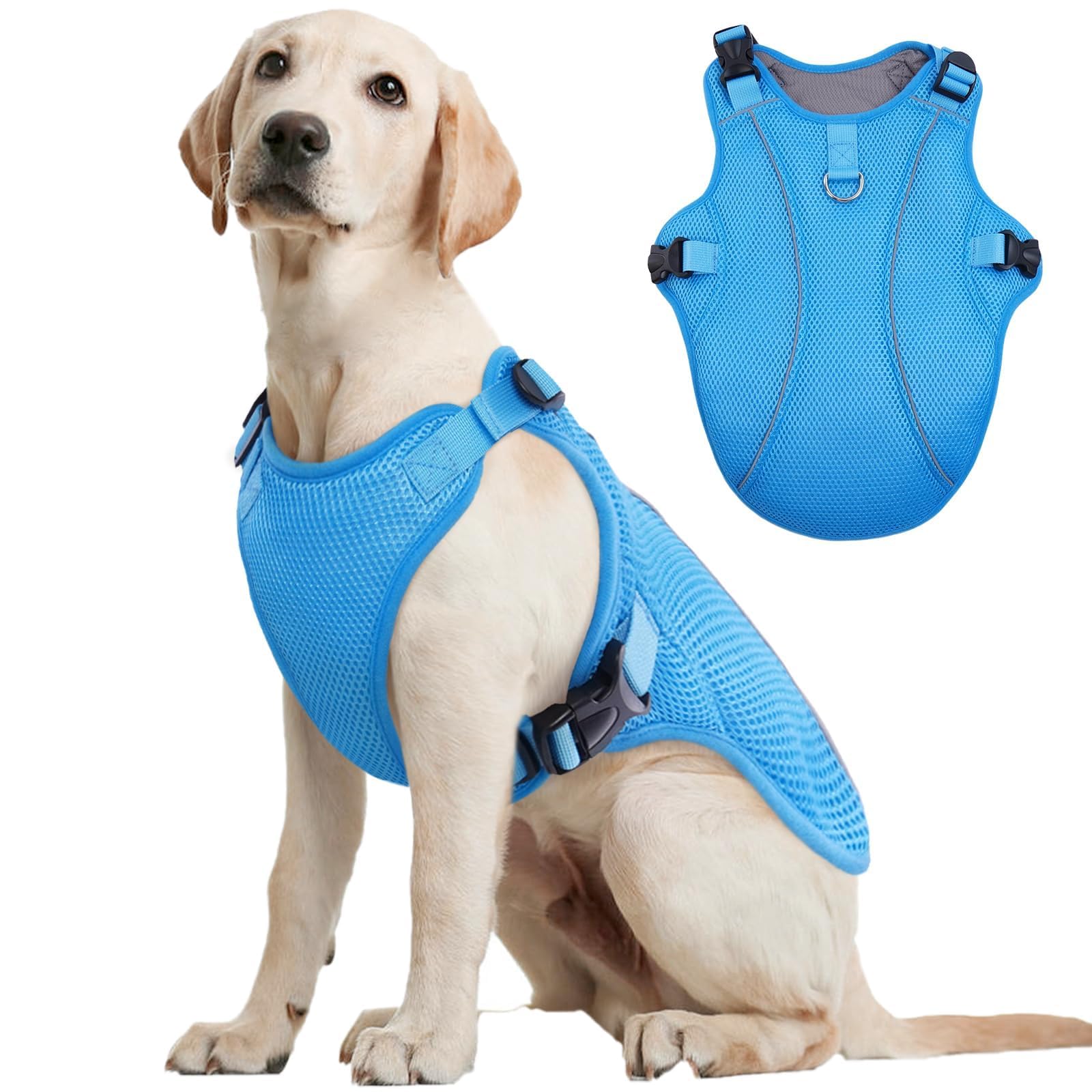 Kuoser dog cooling vest on a large dog at the beach offering evaporative cooling.