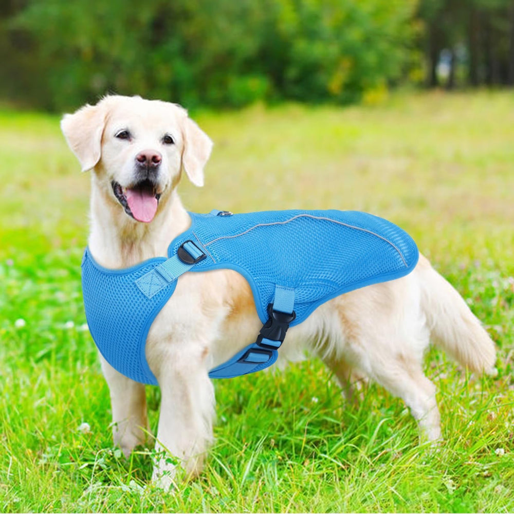 Kuoser dog cooling vest featuring a D-buckle design for freer movement.