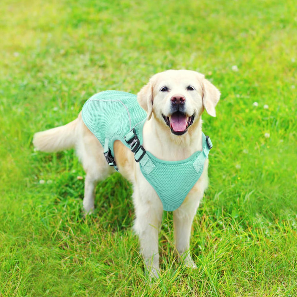 Kuoser dog cooling vest green outdoor walk showing cooling on warm days
