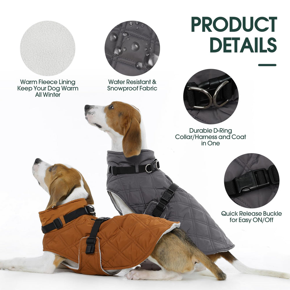 Kuoser adjustable buckle back view enables easy on/off and precise fit.
