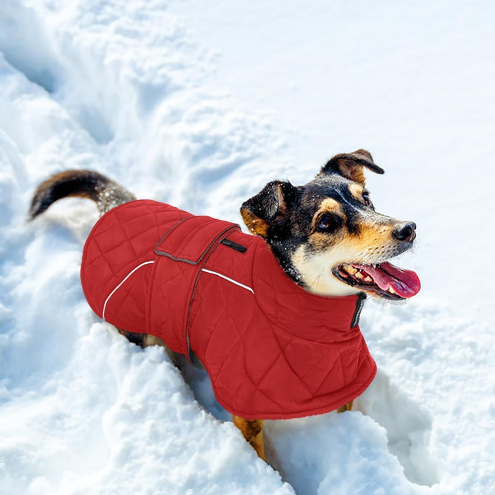 Kuoser red quilted winter vest showcases stylish warmth.
