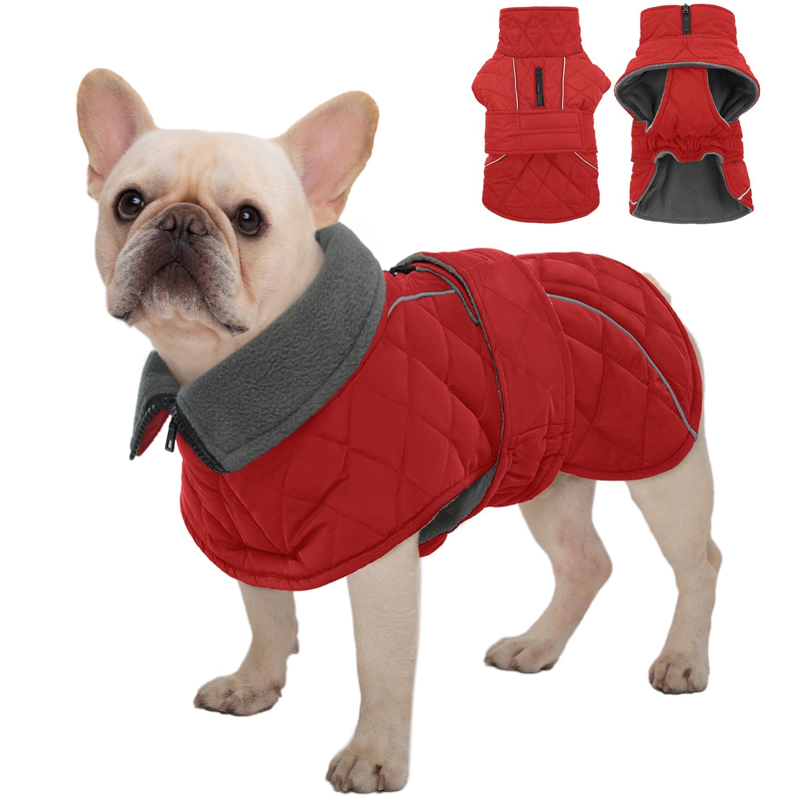 Kuoser dog jacket warm fleece inside keeps small dogs cozy on cold walks.