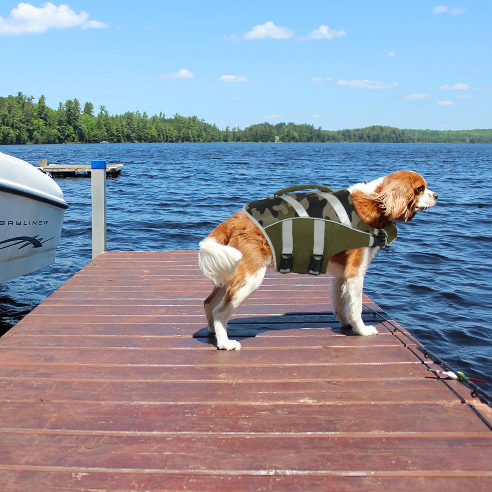 Kuoser adjustable straps customize fit for small to large dogs